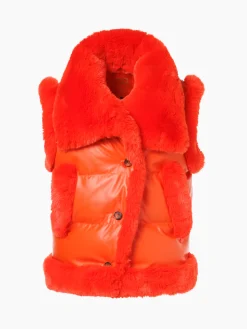 Goldbergh FABIENNE Bodywarmer orange Online