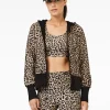 Goldbergh JOEL Jacket jaguar Best